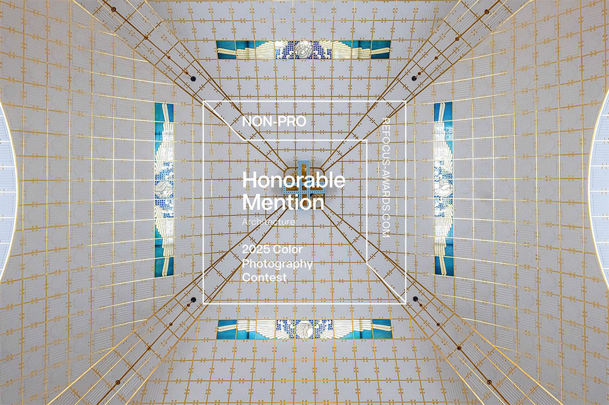 7-Sandro-Tedde-honorable-mention-otto-badge-5